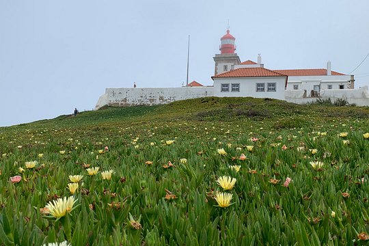 Tour image 11