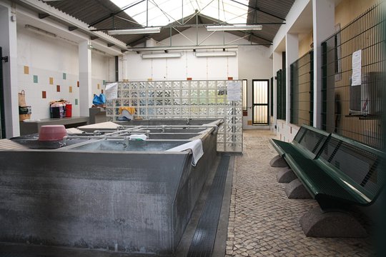 Tour image 3