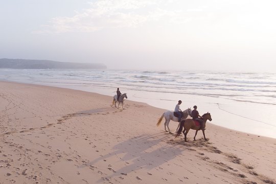 Tour image 5
