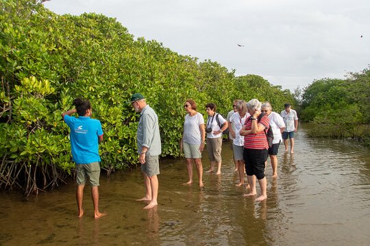 Tour image 11