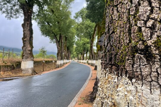 Tour image 10