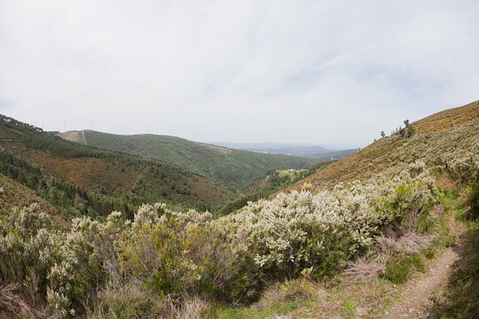 Tour image 6